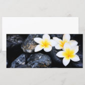 Frangipani flowers (Front/Back)