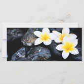 Frangipani flowers (Front)