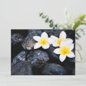 Frangipani flowers (Standing Front)