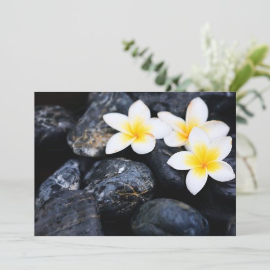 Frangipani flowers (Standing Front)