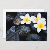 Frangipani flowers (Front/Back)