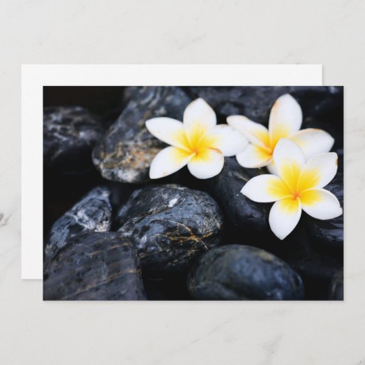 Frangipani flowers (Front/Back)