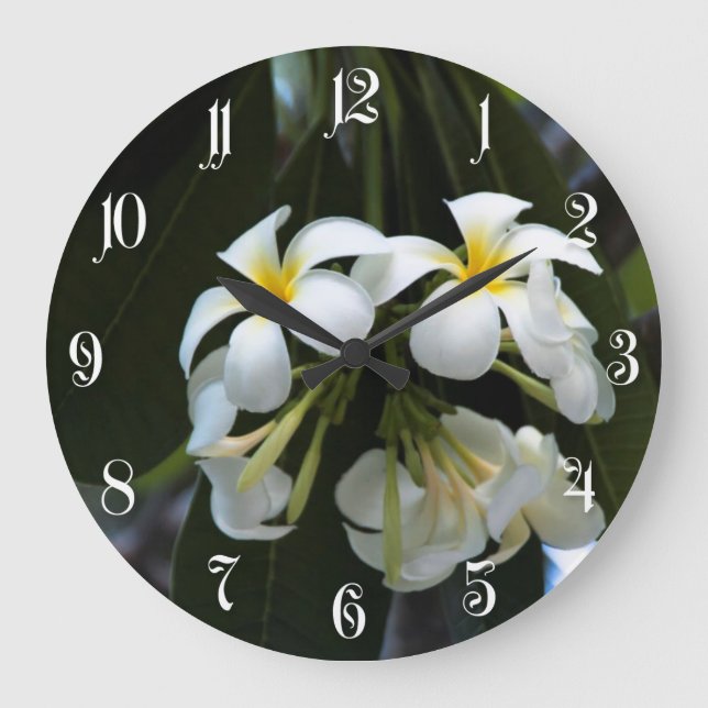 Frangipani flowers large clock (Front)