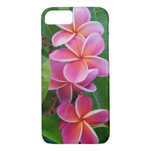 Frangipani iPhone 87 Case _ Gina