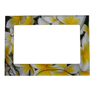 frangipani magnetic frame