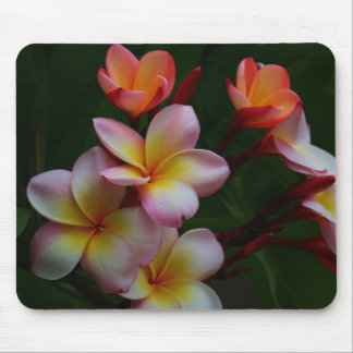 Frangipani Mouse Pad