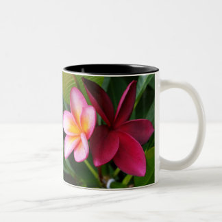 Frangipani Mug: Darwin Sunset & Hilo Beauty Two-Tone Coffee Mug