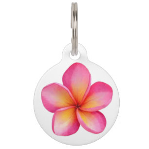 Frangipani Pet Tag