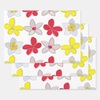 Frangipani Plumeria Colorful Flowers Floral