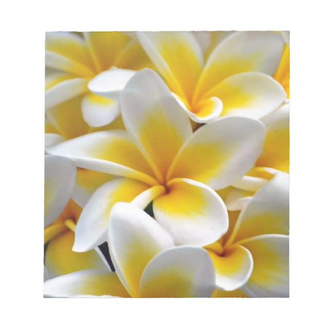 Frangipani Plumeria Flower Photo Notepad (Front)