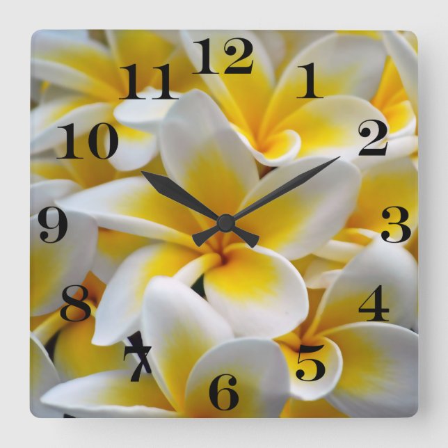 Frangipani Plumeria Flower Photo Square Wall Clock (Front)