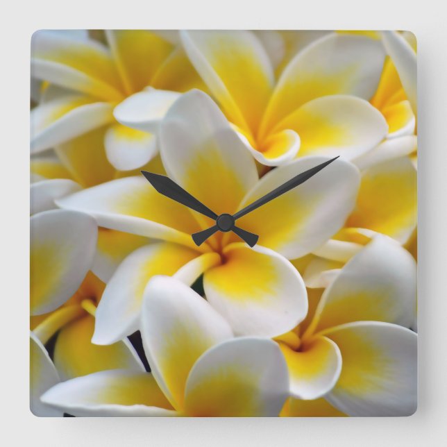Frangipani Plumeria Flower Photo Square Wall Clock (Front)