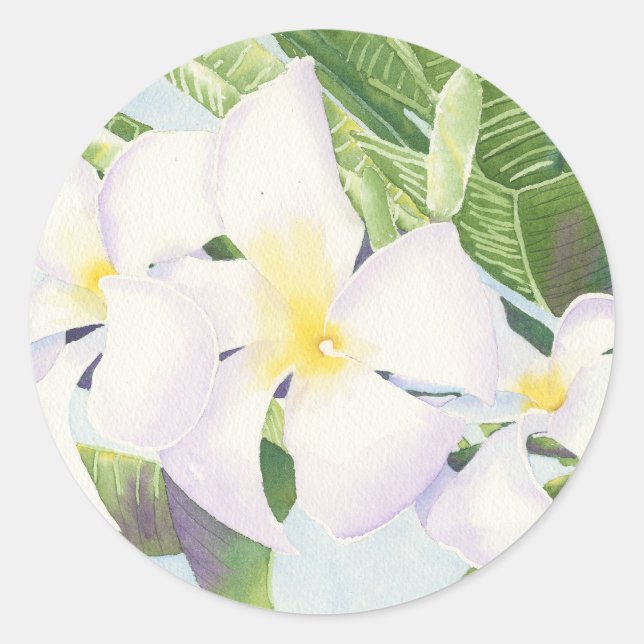 Frangipani Round Stickers (Front)