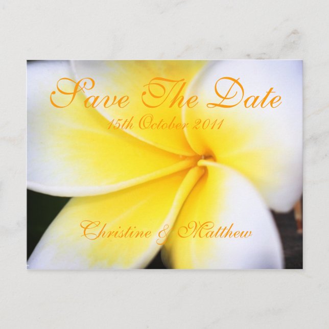 Frangipani -  Save The Date Announcement Postcard (Front)