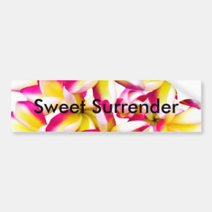 Frangipani temple flower bumper sticker