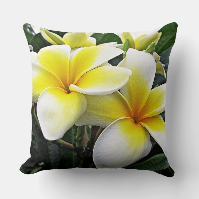 Frangipani Throw Pillow (Front)