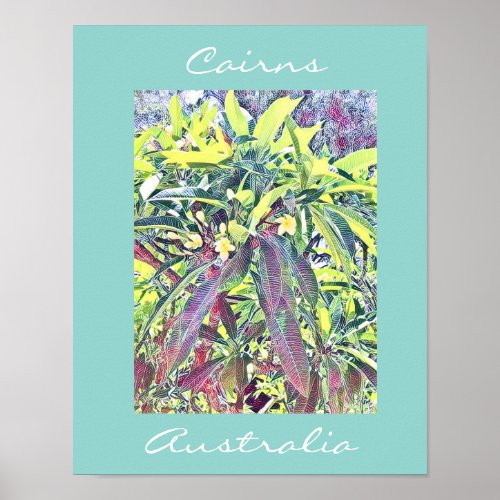 Frangipani Tree Cairns Australia tropical Poster