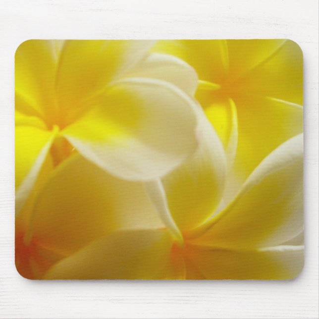 Frangipanis Mouse Pad (Front)