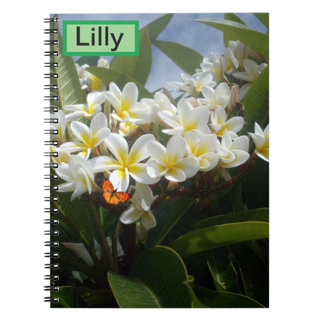Frangipanis With Butterfly, Customized Notebook (Front)