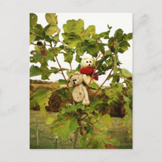 Frank&Lennart climbing tree Postcard