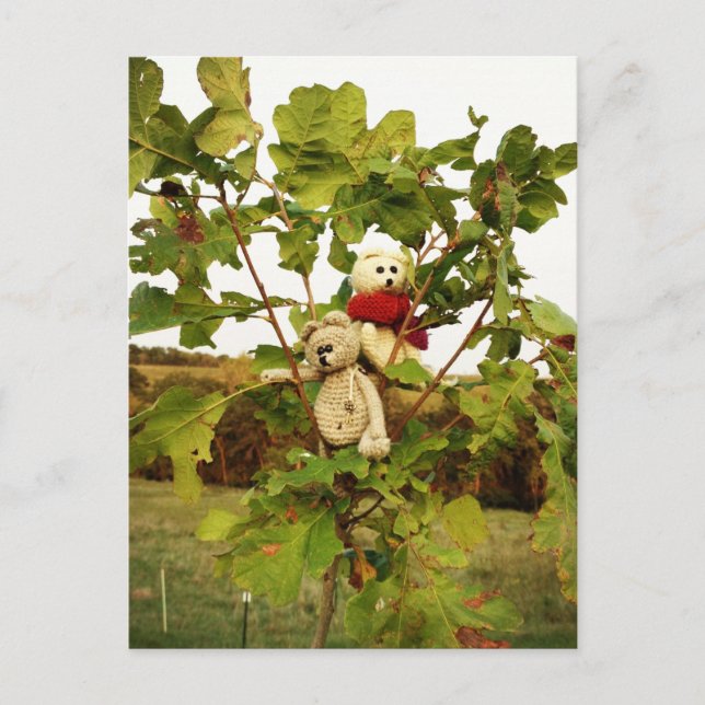 Frank&Lennart climbing tree Postcard (Front)