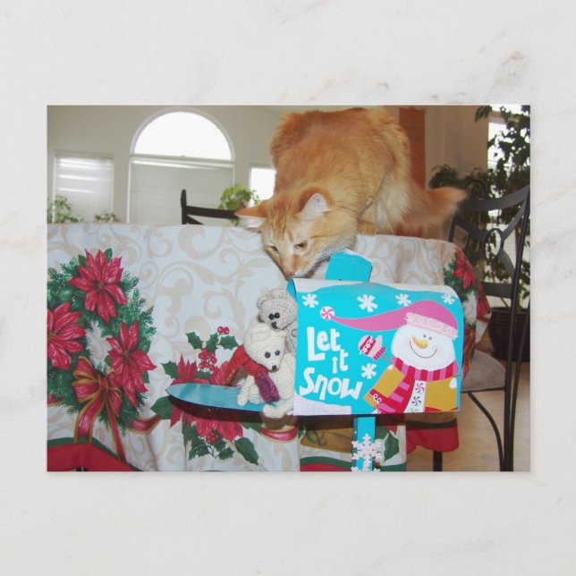 Frank&Leo: He is here! Santa? No, the cat! Holiday Postcard (Front)