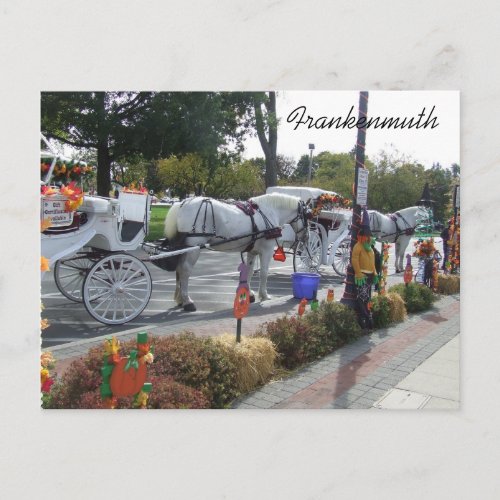 frankenmuth_michigan_white_horse_buggy_carriage_fa postcard