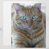 Frankie (Front/Back)