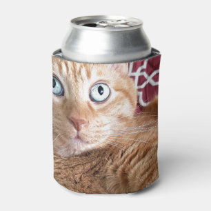 Frankie Can Cooler