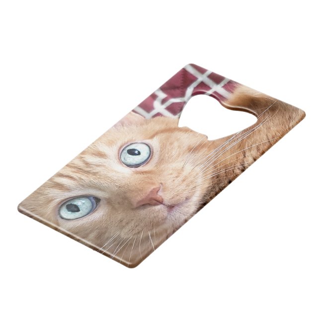Frankie Credit Card Bottle Opener (Front Angled)