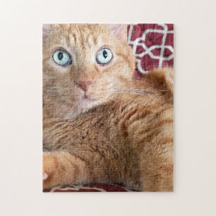 Frankie Jigsaw Puzzle