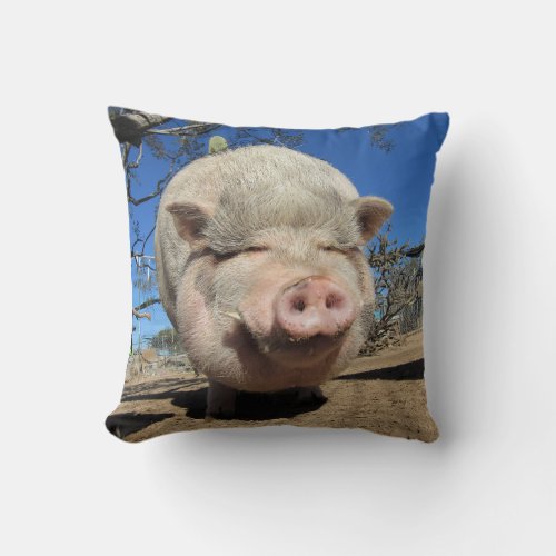 Frankie Pig Pillow 