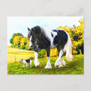 "Frankie & Tessa" Postcard