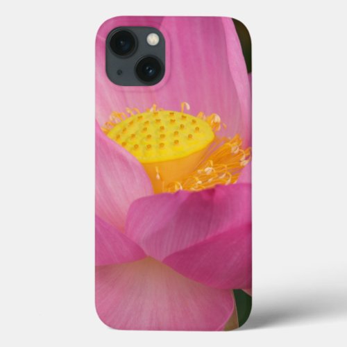 Franklin NC Perrys Water Garden Lotus 2 iPhone 13 Case