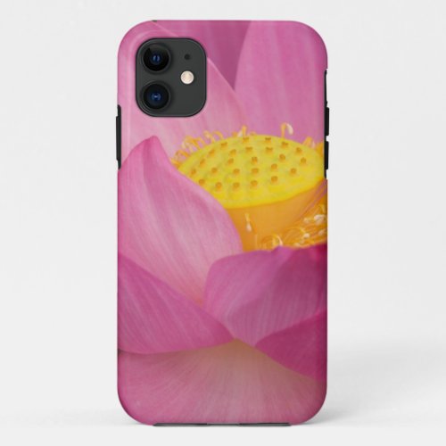 Franklin NC Perrys Water Garden Lotus 2 iPhone 11 Case