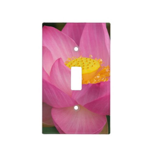 Franklin NC Perrys Water Garden Lotus 2 Light Switch Cover