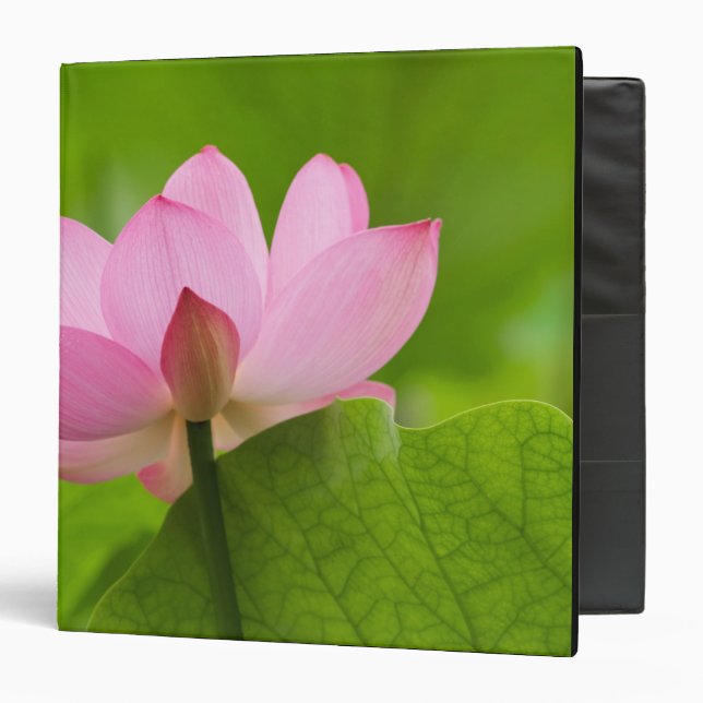 Franklin NC, Perry's Water Garden, Lotus 3 Ring Binder (Front/Inside)