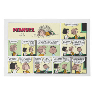 Franklin, Peppermint Patty & Marcie Math Class Faux Canvas Print