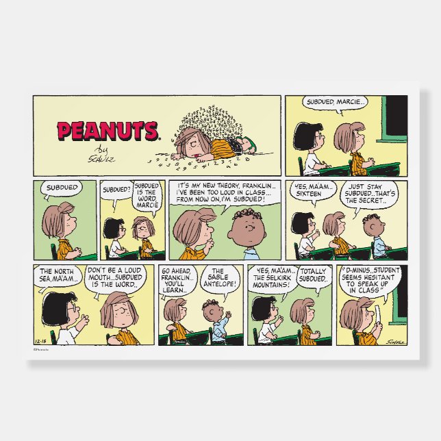 Franklin, Peppermint Patty & Marcie | Math Class Foam Board (Front)