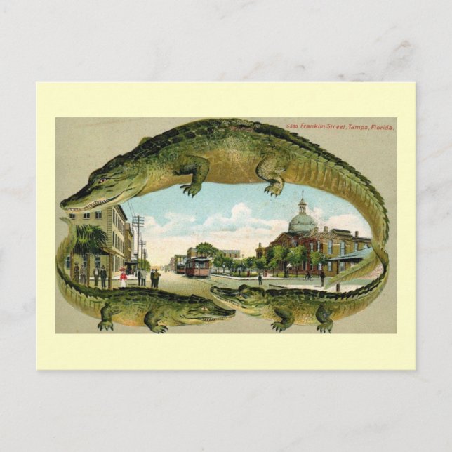 Franklin St., Tampa, Florida Vintage Postcard (Front)
