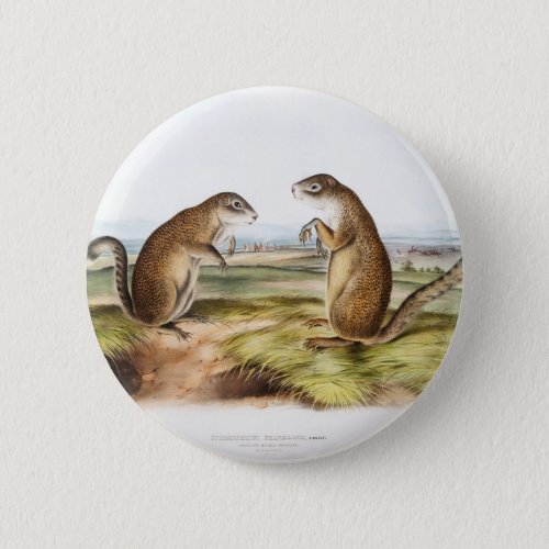 Franklins Marmot Squirrel Camping Gear Deco Gifts Button