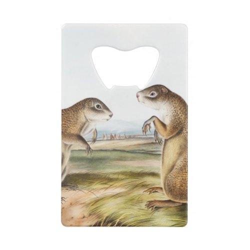 Franklins Marmot Squirrel Camping Gear Deco Gifts Credit Card Bottle Opener