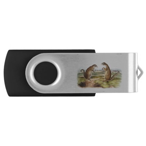 Franklins Marmot Squirrel Camping Gear Deco Gifts Flash Drive