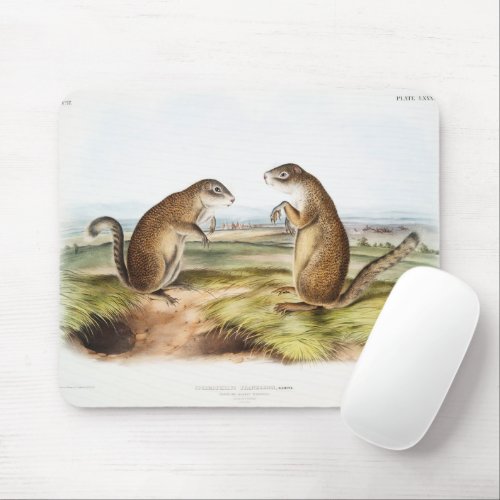 Franklins Marmot Squirrel Camping Gear Deco Gifts Mouse Pad