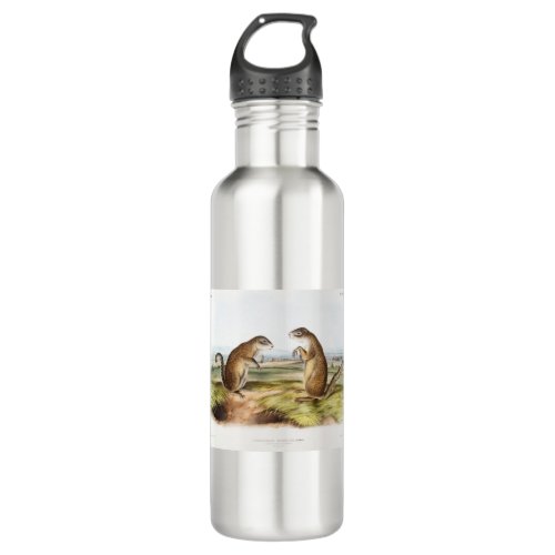 Franklins Marmot Squirrel Camping Gear Deco Gifts Stainless Steel Water Bottle