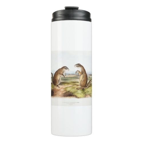 Franklins Marmot Squirrel Camping Gear Deco Gifts Thermal Tumbler