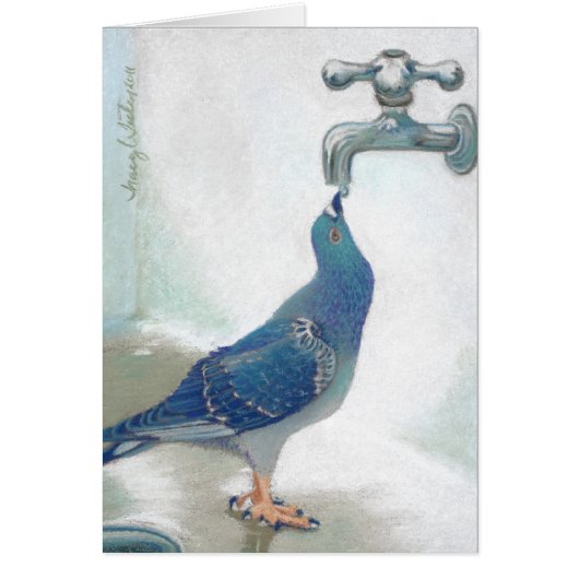 Frank's Pidgeon Cards (Front)