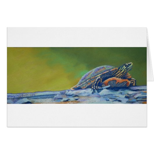 Frank's Turtle red eared striper Cards (Front Horizontal)