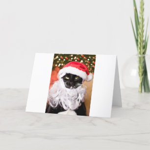 Franny Claus Sad Santa Kitty Holiday Card
