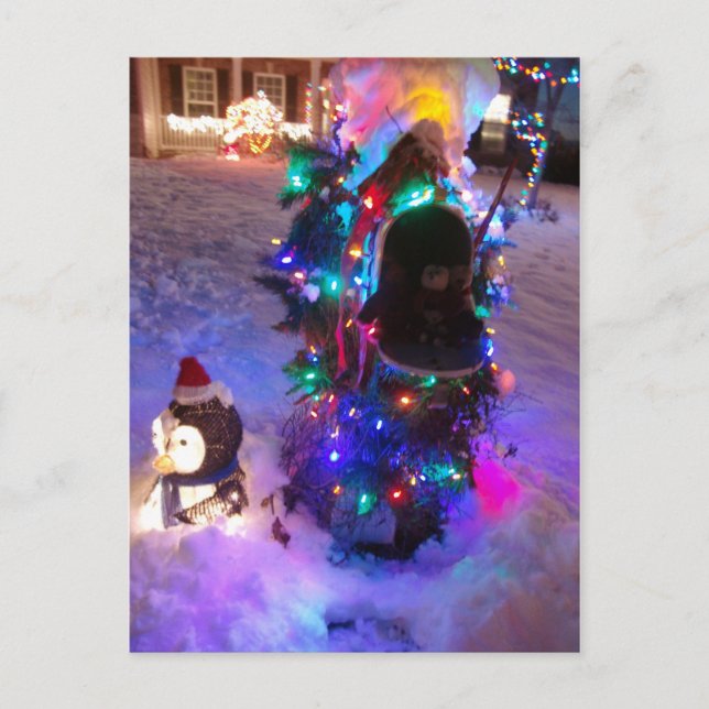 Franscious and Lennart Christmas Time Mailbox Holiday Postcard (Front)